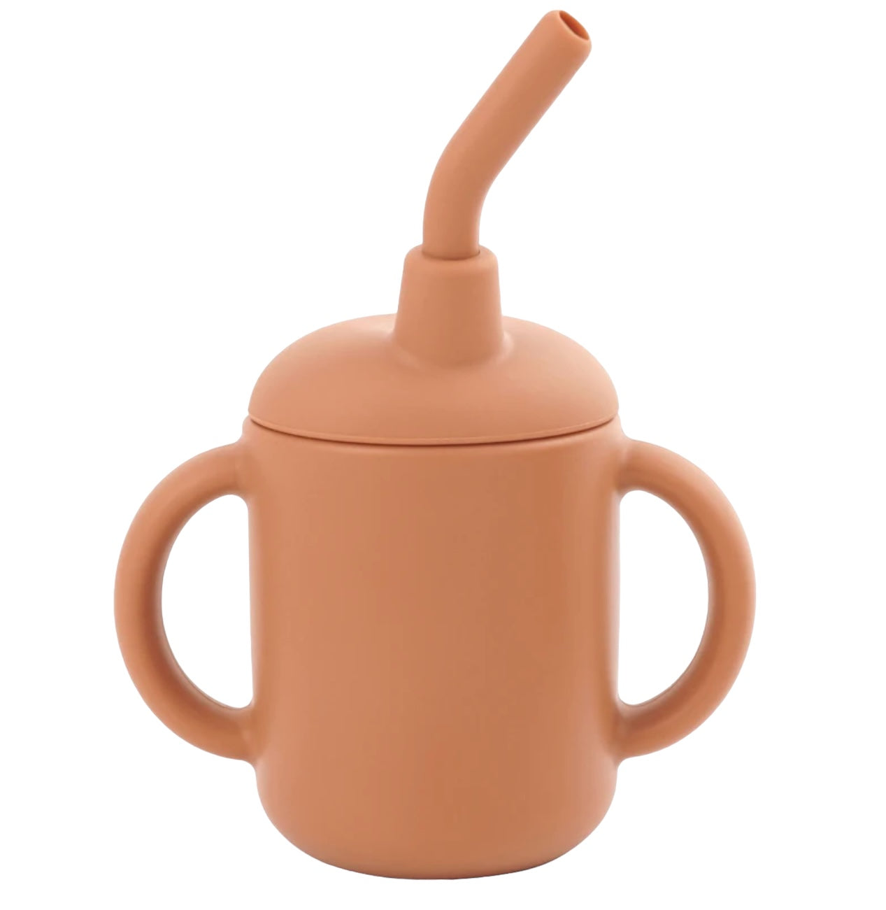 Sippy Cup with Straw and 2 Handles